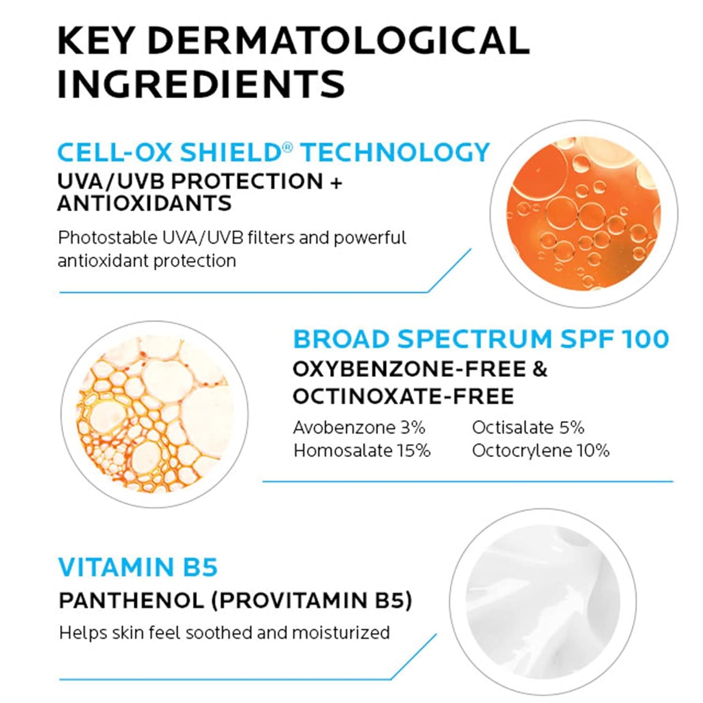 LA ROCHE-POSAY Anthelios Body & Face SPF100 Sunscreen  (3oz)